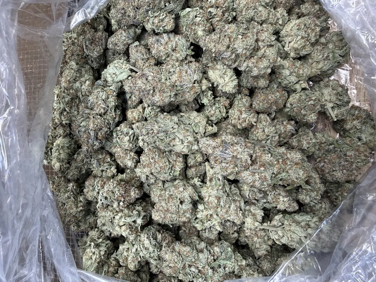 Icc Flower